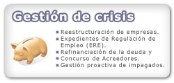 Gesti�n de la crisis