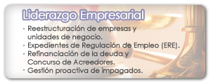 Liderazgo Empresarial